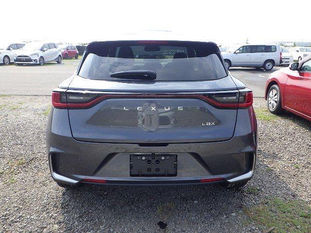 LEXUS LBX 2024/9